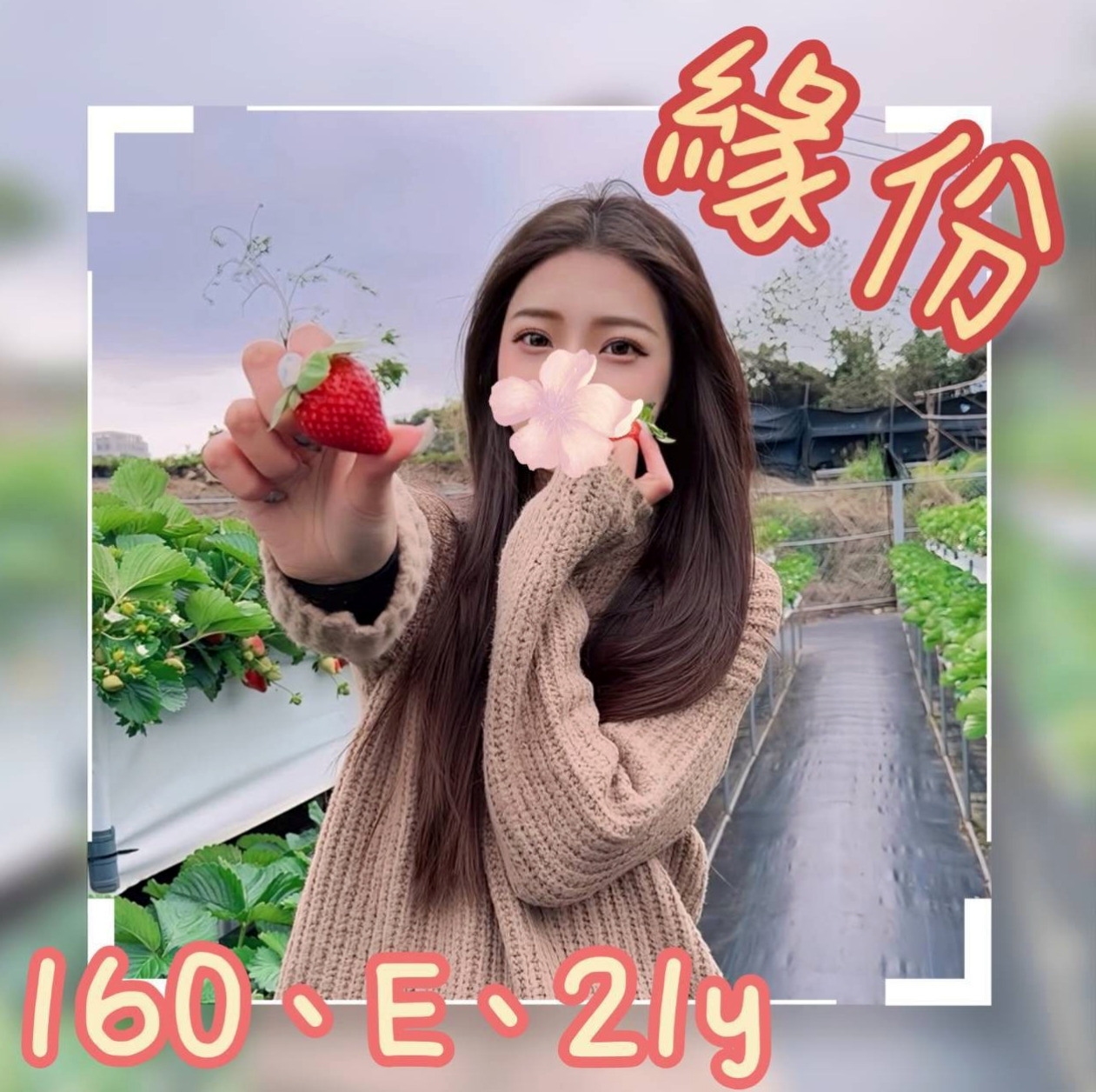 高雄找妹妹：濕樂 |小蘿莉學生妹|163cm|49kg|D杯|24y|
